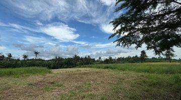 Gambar 1 Dijual Tanah View Sawah di Jalan Pantai Yeh Gangga Gubug, Tabanan