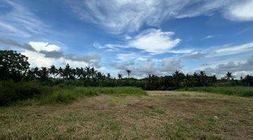 Gambar 3 Dijual Tanah View Sawah di Jalan Pantai Yeh Gangga Gubug, Tabanan