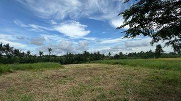 Gambar 5 Dijual Tanah View Sawah di Jalan Pantai Yeh Gangga Gubug, Tabanan