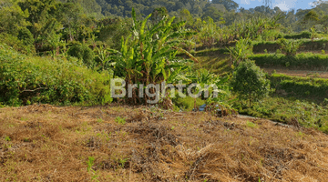 Gambar 1 TANAH PANCASARI BEDUGUL