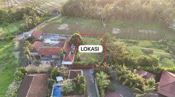 Gambar 3 Di Jual Tanah Premium Kedungu Jalan Botle Kawasan Villa