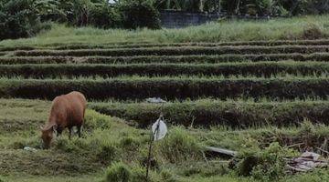 Gambar 2 PASTI DEAL DI JUAL TANAH LOKASI KEROBOKAN KUTA UTARA BADUNG 