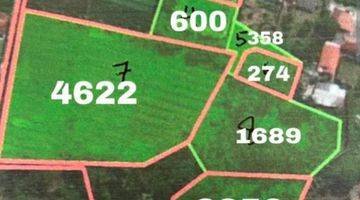 Gambar 4 Di jual tanah darat
Jalan raya salembaran - kampung melayu

Seluas 13.000 m2
Sertifikat shm
Harga jual 4 juta permeter nego

Cocok untuk usaha
- pom bensin
- indomaret
- gudang
     - ruko
Lokasi rame Tanah di Salembran 13000 SHM m²