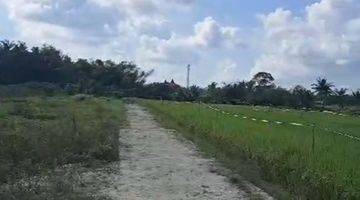 Gambar 1 LAND KEDUNGU 700METERS TO THE  BEACH  LEASEHOLD 