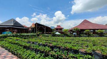 Gambar 1 Ruang Usaha View Gunung, Sawah, Kebun Strawberry & Kolam Renang