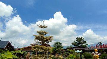 Gambar 3 Ruang Usaha View Gunung, Sawah, Kebun Strawberry & Kolam Renang