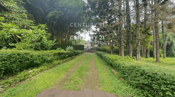 Gambar 4 Dijual Kavling  Bonus Rumah Mewah Di Ciumbeluit Bandung