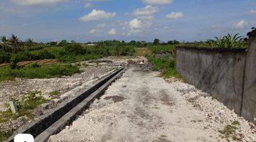 Gambar 3 Di Jual Tanah View Sawah di Tumbak Bayuh Pererenan,canggu Mengwi