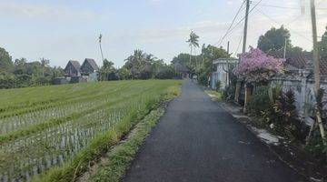 Gambar 3 Dijual Cepat Dan di Bawah Pasar Sebidang Tanah Kosong di Kawasan Pariwisata, Jl Batu Mejan, Lalanglinggah, Selemadeg Tabanan