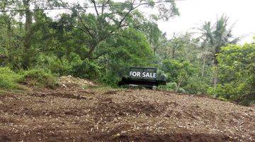 Gambar 3 Di Jual Tanah View Junggle Area Ubud 2500 SHM Tanah