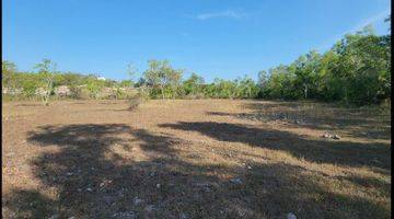 Gambar 5 Land for Sale Dekat Pantai Green Bowl di Kutuh Nusa Dua