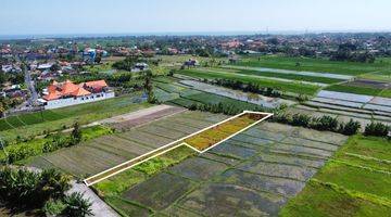 Gambar 1 SOSO SO PASTI DI JUAL TANAH VIEW SAWAH LOKASI NYANYI BERABAN KEDIRI TABANAN