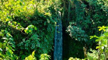 Gambar 1 PASTI DEAL DI JUAL TANAH LOKASI SUMAMPAN SUKAWATI GIANYAR