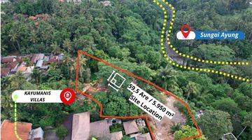 Gambar 1 Tanah SHM Seluas 5.950 m² Di Ubud Zona Pariwisata View Sungai