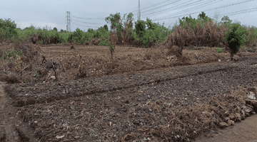 Gambar 3 Kavling Tanah Kosong di Kerawang Luas 16 Hektar Samping Tol Karawang Cikampek