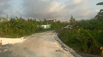 Gambar 1 Dijual Tanah 10 Are Tumbak Bayuh