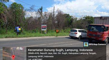 Gambar 5 Tanah di Gunung Sugih, Lampung Tengah Sertifikat Hak Milik 11.642 m²