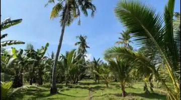 Gambar 1 For sale tanah 25700m2 loss pantai melaya jembrana bali