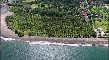 Gambar 5 For sale tanah 25700m2 loss pantai melaya jembrana bali