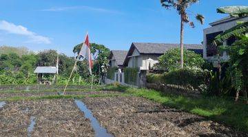 Gambar 2 View sawah ,sungai tanah link villa 220m2 lebar18mtr canggu kayutulang