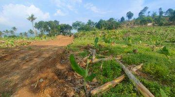 Gambar 3 Tanah komersil siap bangun view gunung dan sawah 