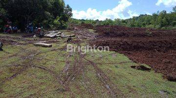 Gambar 2 Tanah Kosong Luas Bone