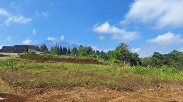 Gambar 2 Tanah siap bangun surat SHM di Puncak Bogor 