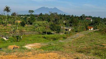 Gambar 4 Tanah siap bangun surat SHM di Puncak Bogor 