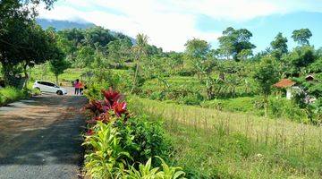 Gambar 3 Tanah SHM di Puncak Bogor luas 500m² bebas IPL 