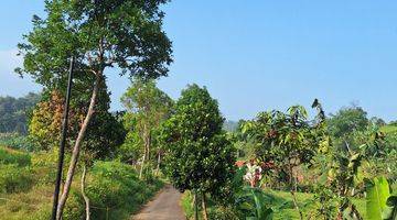 Gambar 5 Tanah SHM di Puncak Bogor kawasan villa 