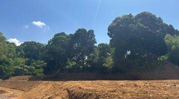 Gambar 4 dijual Tanah 300 m² SHM di puncak bogor, dekat taman safari