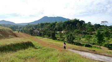 Gambar 5 Jual Tanah di Puncak Bogor Luas 1000m² Legalitas SHM