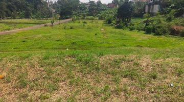 Gambar 1 Dijual Tanah Datar Di Megamendung Puncak Bogor 