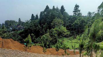 Gambar 2 Tanah Cocok Untuk Vila Di Megamendung Puncak Bogor