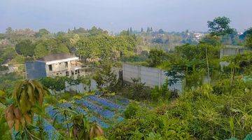 Gambar 2 Jual Tanah Siap Bangun 1555 m² SHM Megamendung Puncak Bogor