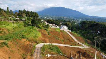 Gambar 4 Jual Tanah L=707m² Harga Nego Megamendung Puncak Bogor