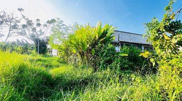 Gambar 2 Tanah di Pererenan, Badung 1.500 m²