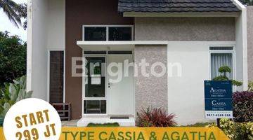 Gambar 4 Type Cassia & Agatha Savanna Sumatera