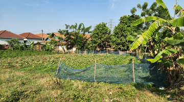 Gambar 4 Tanah Daratan Bebas Banjir Lokasi Strategis  Di Cibitung Bekasi