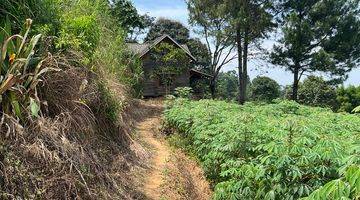 Gambar 1 Tanah Luas Cocok Untuk Villa di Gunung Geulis, Bogor