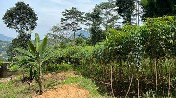 Gambar 2 Tanah Luas Cocok Untuk Villa di Gunung Geulis, Bogor