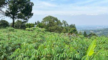 Gambar 3 Tanah Luas Cocok Untuk Villa di Gunung Geulis, Bogor