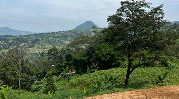 Gambar 5 Tanah Luas Cocok Untuk Villa di Gunung Geulis, Bogor