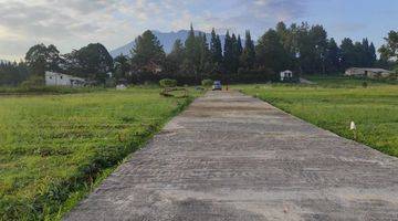 Gambar 4 Tanah Kavling Villa di Puncak Megamendung Bogor