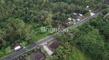 Gambar 5 TANAH STRATGEIS DEKAT JALUR DENPASAR - GILIMANUK DI ANTOSARI TABANAN