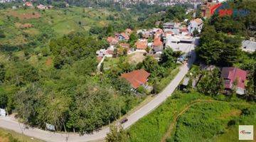 Gambar 3  Tanah Hokie pasti cuan di Kawasan Bandung Utara dengan View Kota Bandung! Pohon Buah Naga