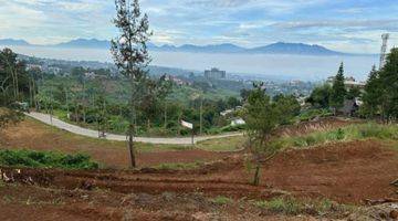 Gambar 1  Tanah Hokie pasti cuan di Kawasan Bandung Utara dengan View Kota Bandung! Pohon Buah Naga