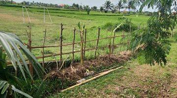 Gambar 2 Tanah di Jl. Raya Sayan Gang Pura Masceti, Gianyar