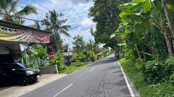 Gambar 3 Buc Dijual Tanah Lokasi Berada Dilingkungan Tenang Dan Nyaman Desa Payangan Gianyar