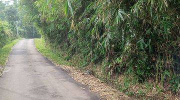 Gambar 2 Perkebunan Kopi & cengkeh luas & sejuk